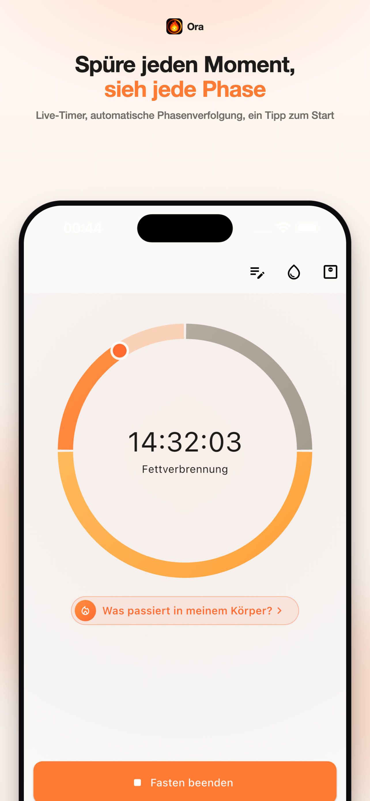 Ora timer screen